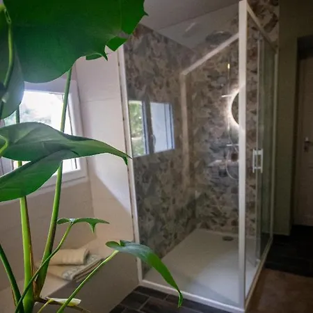 Couette-café Mas Des 2 Paons 3*